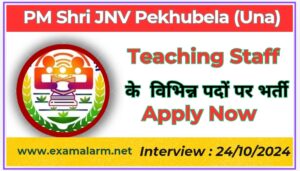 PM Shri School JNV Pekhubela Una PGT Recruitment 2024